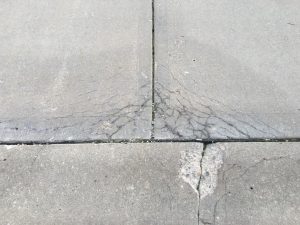 concrete-driveway-sealing-in-Overland-Park-Leawood-Kansas-City